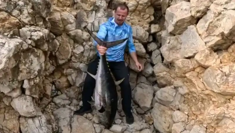 Saros Koyu’nda Avlanan Dev Balık, 20 Dakikada Kurtarıldı!