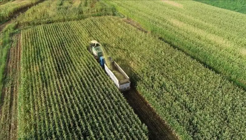 2025'te Mazot ve Gübre Desteği Ödemeleri: Son Durum ve Tarihler