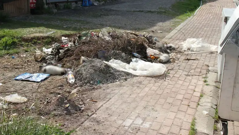 Antalya'da Gizemli Kedi Ölümü: 10 Kedi Bulundu, Sır Perdesi Aralanıyor